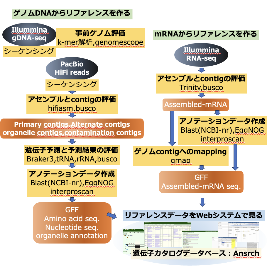 カスタム K様専用 Lead参加券 | www.softekpro.com